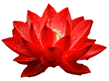 Reverse Retrograde lotus